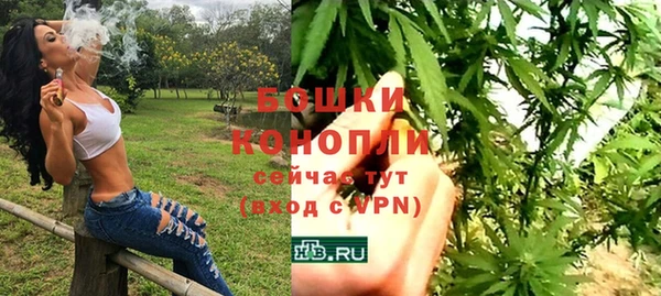 трава Медногорск