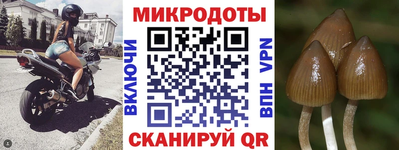 Псилоцибиновые грибы прущие грибы  Йошкар-Ола 