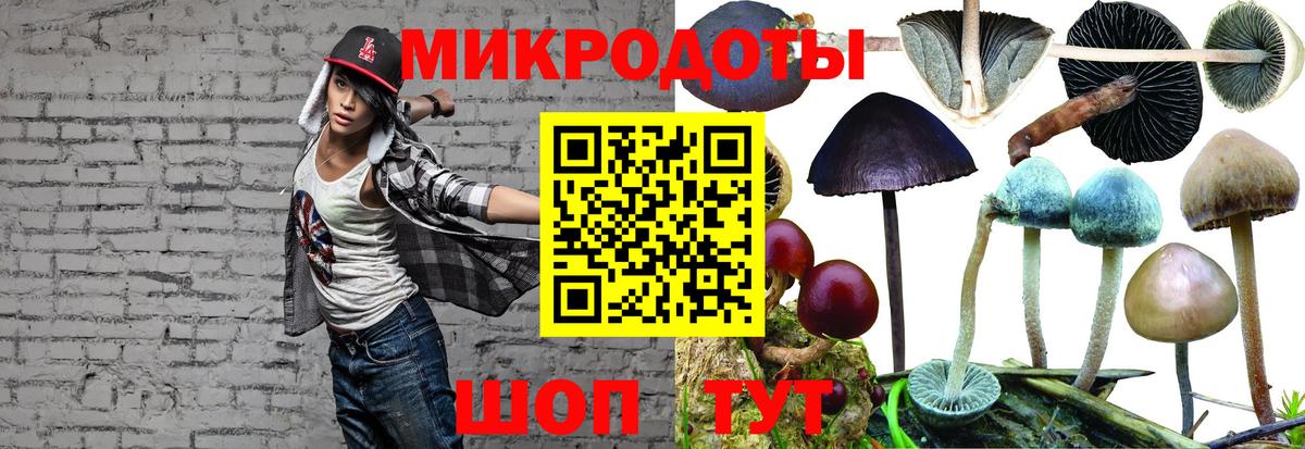 где купить наркоту  Вход с VPN  Йошкар-Ола  Галлюциногенные грибы прущие грибы 