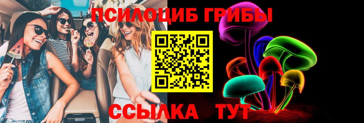 Галлюциногенные грибы Psilocybe Йошкар-Ола